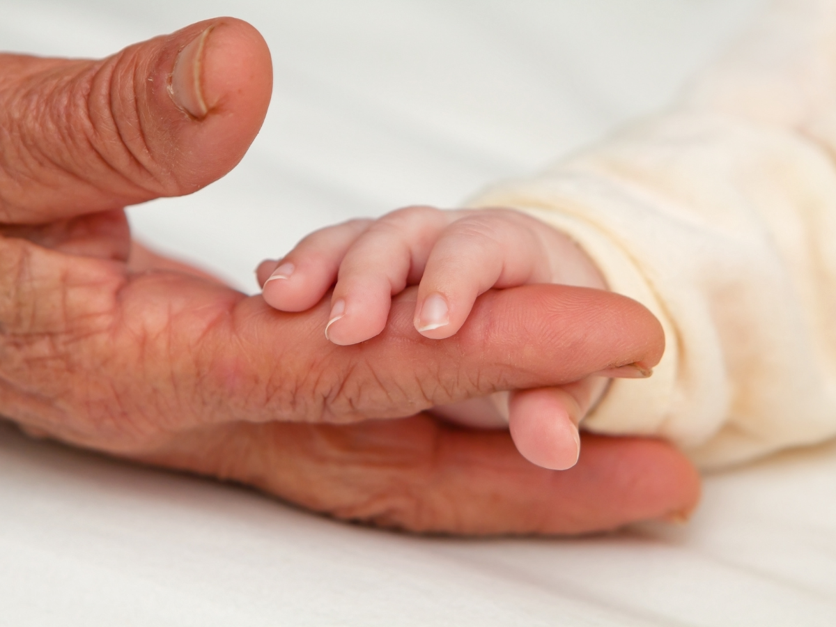 A gentle legacy